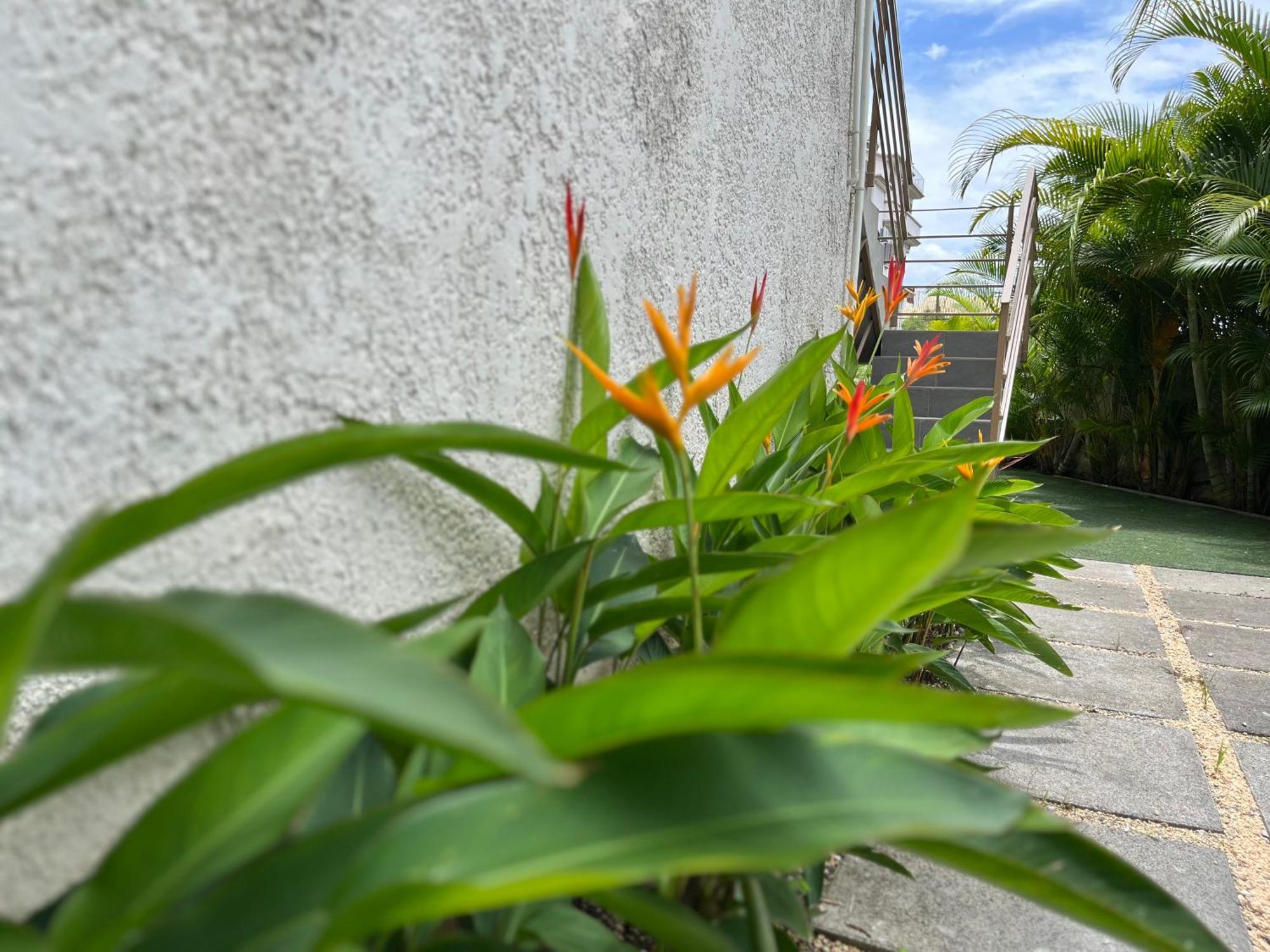 Cosy 2 Bedrooms Apts In Pereybere -Seasons Break Apartment Pereybere Beach Exteriör bild